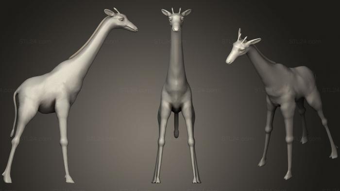 Статуэтки животных (Жираф163, STKJ_1010) 3D модель для ЧПУ станка